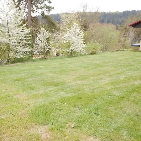 Ferienhaus Eifelparadies Weidenbach (Vulkaneifel)