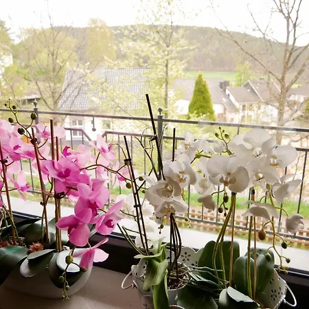 Appartamento Ferienhaus Eifelparadies
